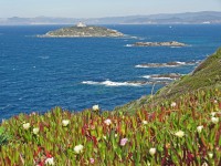 /album/galerie-de-photos-mon-blog1/dsc03426a-la-ciotat-jpg/